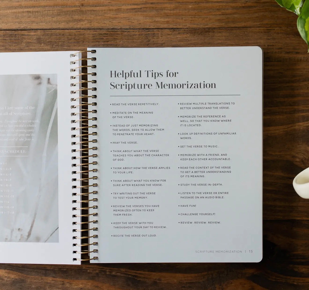 Come and See | The Daily Grace Co.- Study on John