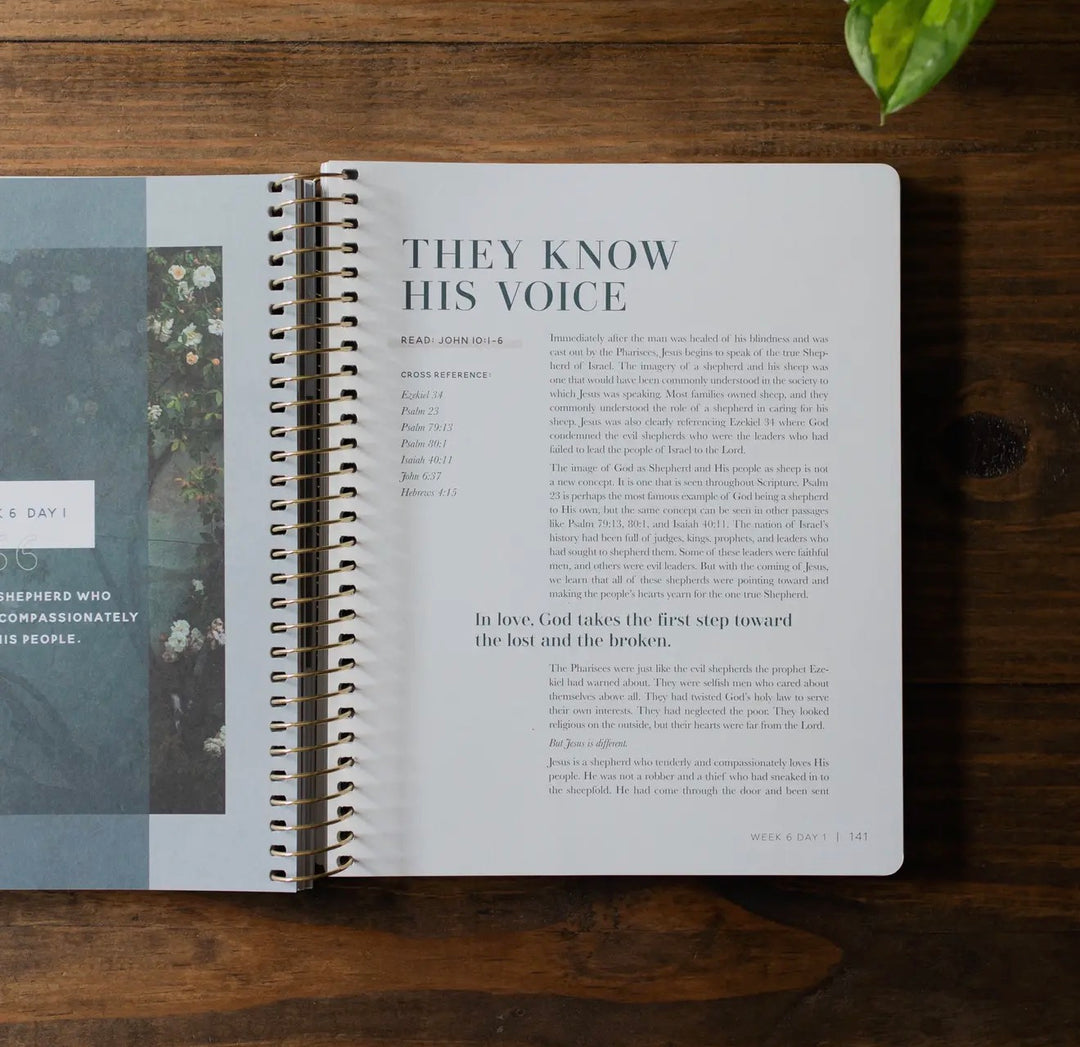 Come and See | The Daily Grace Co.- Study on John