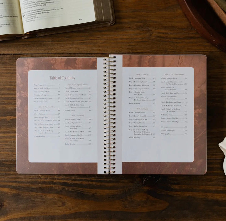 Peaks and Valleys | Learning to Look to Christ in Life’s Highs and Lows - The Daily Grace Co.