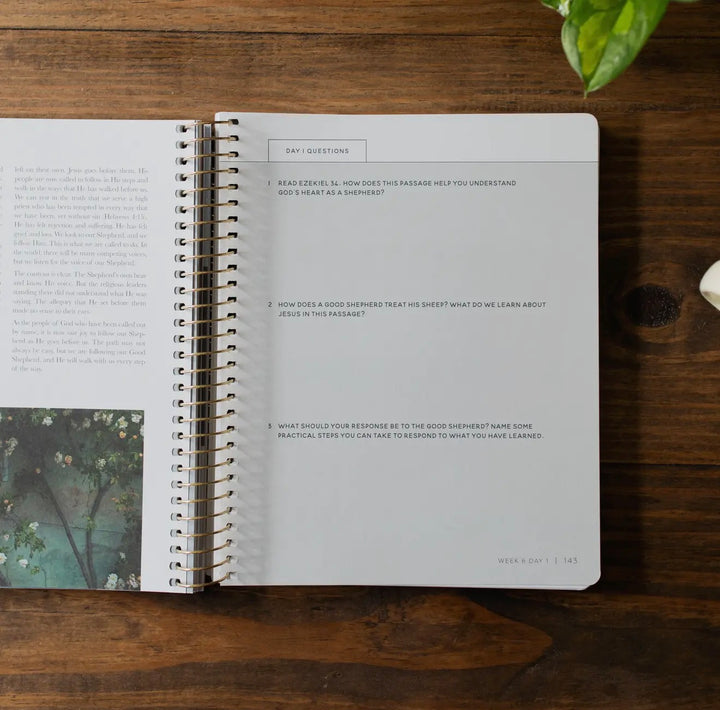 Come and See | The Daily Grace Co.- Study on John