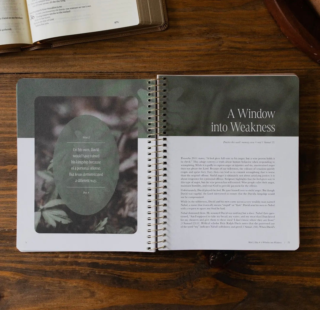 Peaks and Valleys | Learning to Look to Christ in Life’s Highs and Lows - The Daily Grace Co.