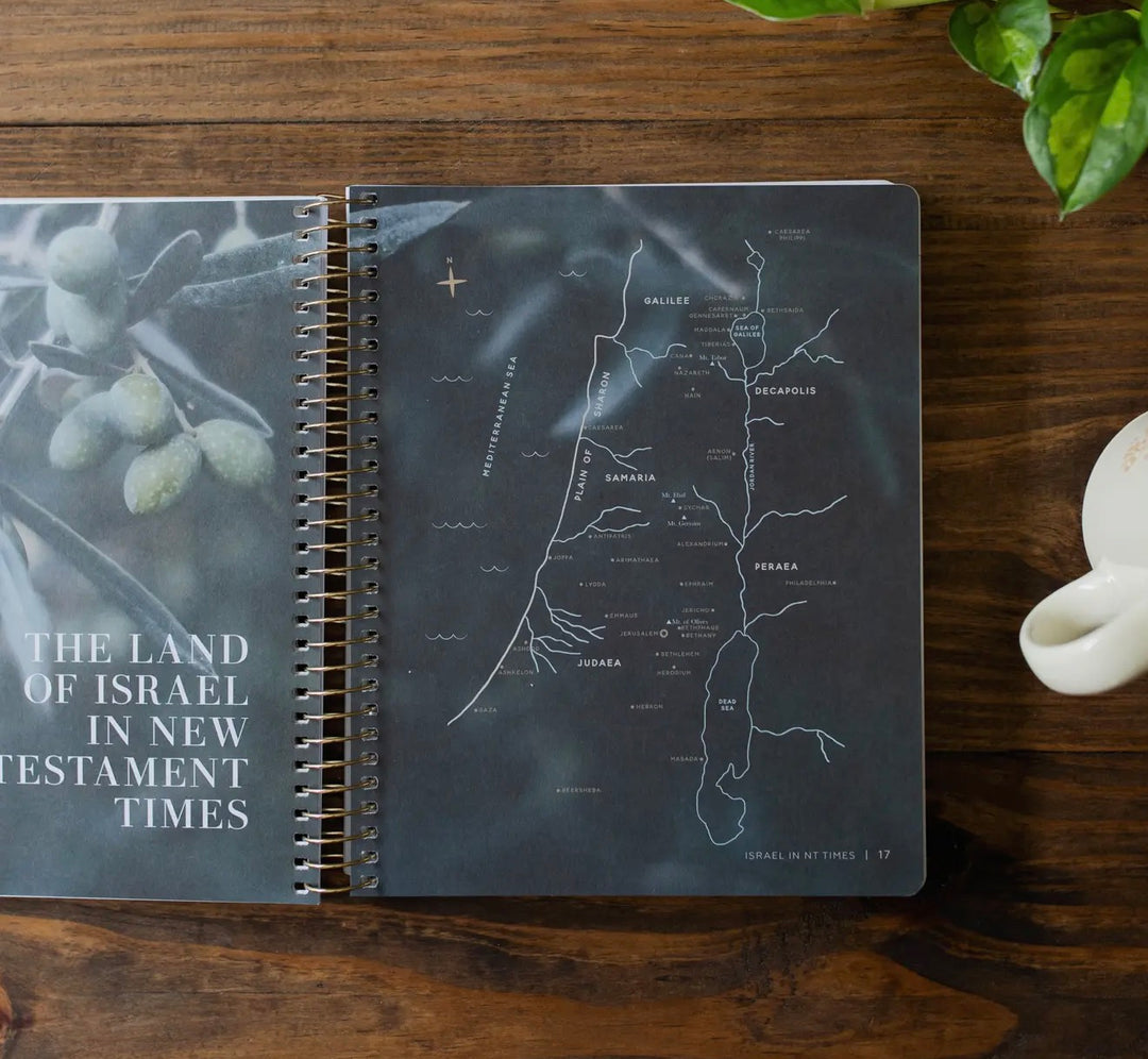 Come and See | The Daily Grace Co.- Study on John