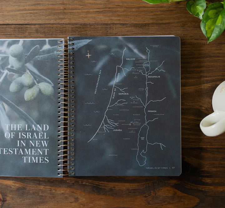 Come and See | The Daily Grace Co.- Study on John