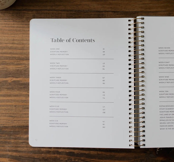 Come and See | The Daily Grace Co.- Study on John