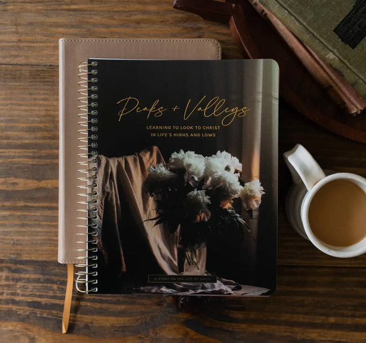 Peaks and Valleys | Learning to Look to Christ in Life’s Highs and Lows - The Daily Grace Co.
