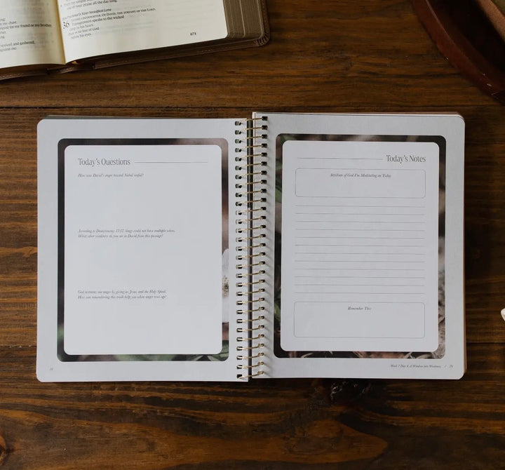 Peaks and Valleys | Learning to Look to Christ in Life’s Highs and Lows - The Daily Grace Co.